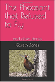 Author - Gareth Jones3