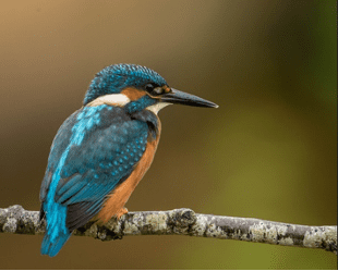 Spotted October 2018